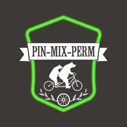 Логотип группы Пин-Микс Пермь