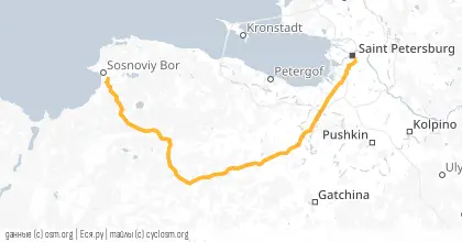 Карта вело-маршрута «Разведка: Туман в Сосновом бору»