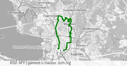 СРВ: Космодром имени Муринэско