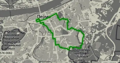 Свет в лесу