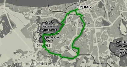 Снежное родео