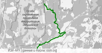 БК: Погружение в Чащу