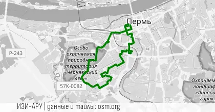 Какое завтра число