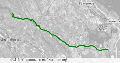 На Традиционную-21 от Миллюпельто