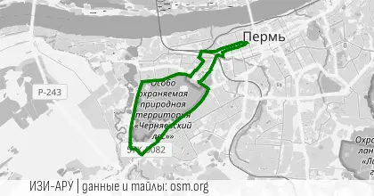 PIN-MIX-PERM "Оттаявшие"