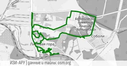 Утренний велозаезд