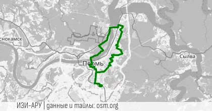 Запоздалый соло пин