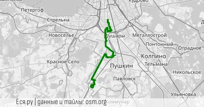 Вечер: Не Лесное Приключение