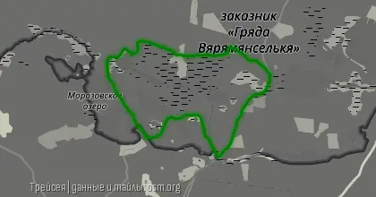 ГРЯДА ПЕТРИЧЕНКО34